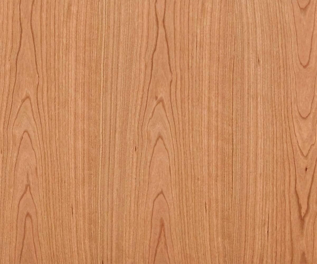 Baptisia 79 Media Stand