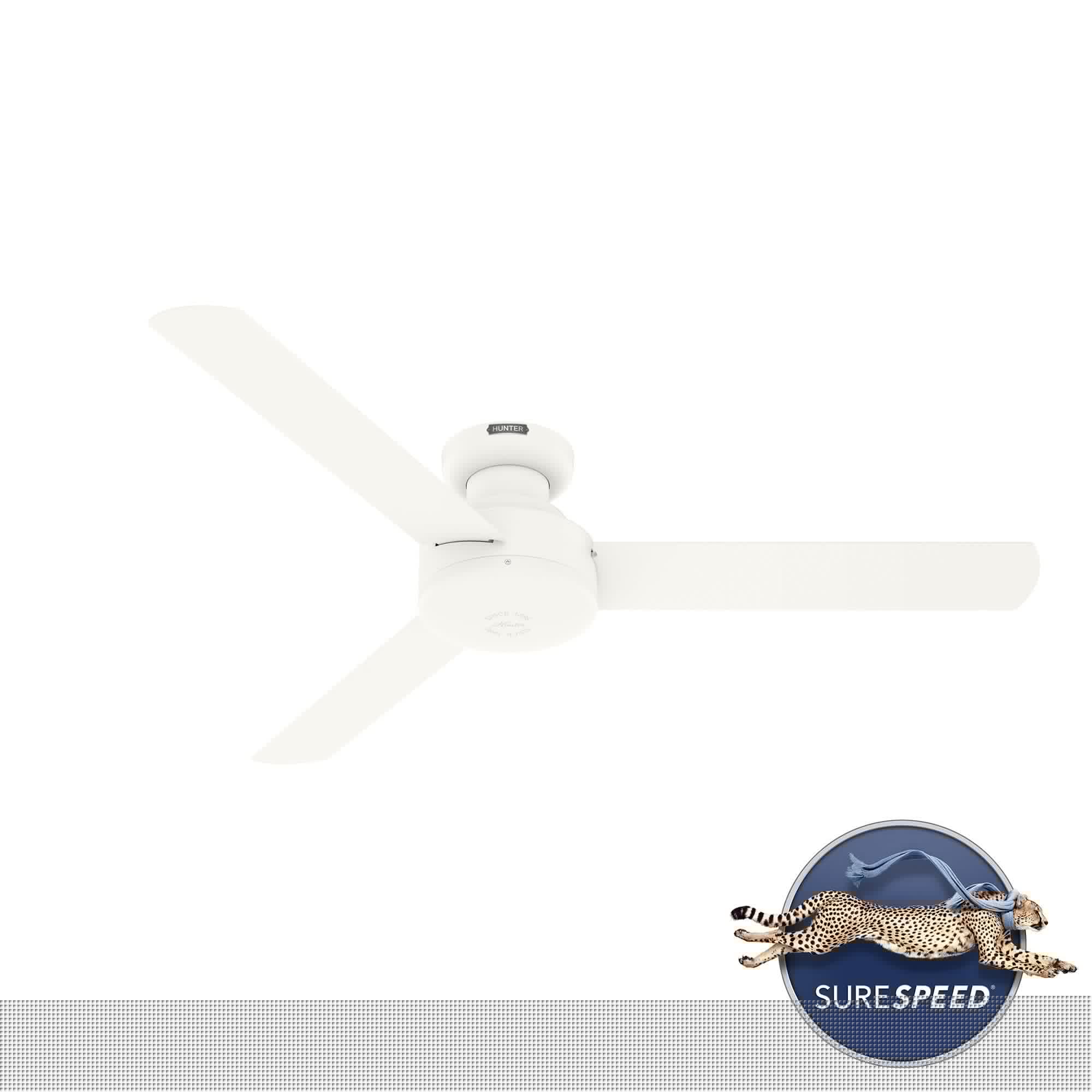 10' x 13' Steel Outdoor Pergola Gazebo, Patio Canopy with Drainage Holes for Backyard Pool Deck Garden