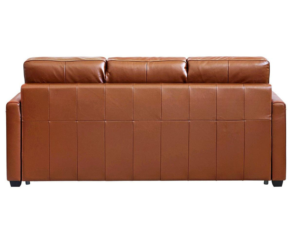 Jonas Leather Queen Sleeper Sofa