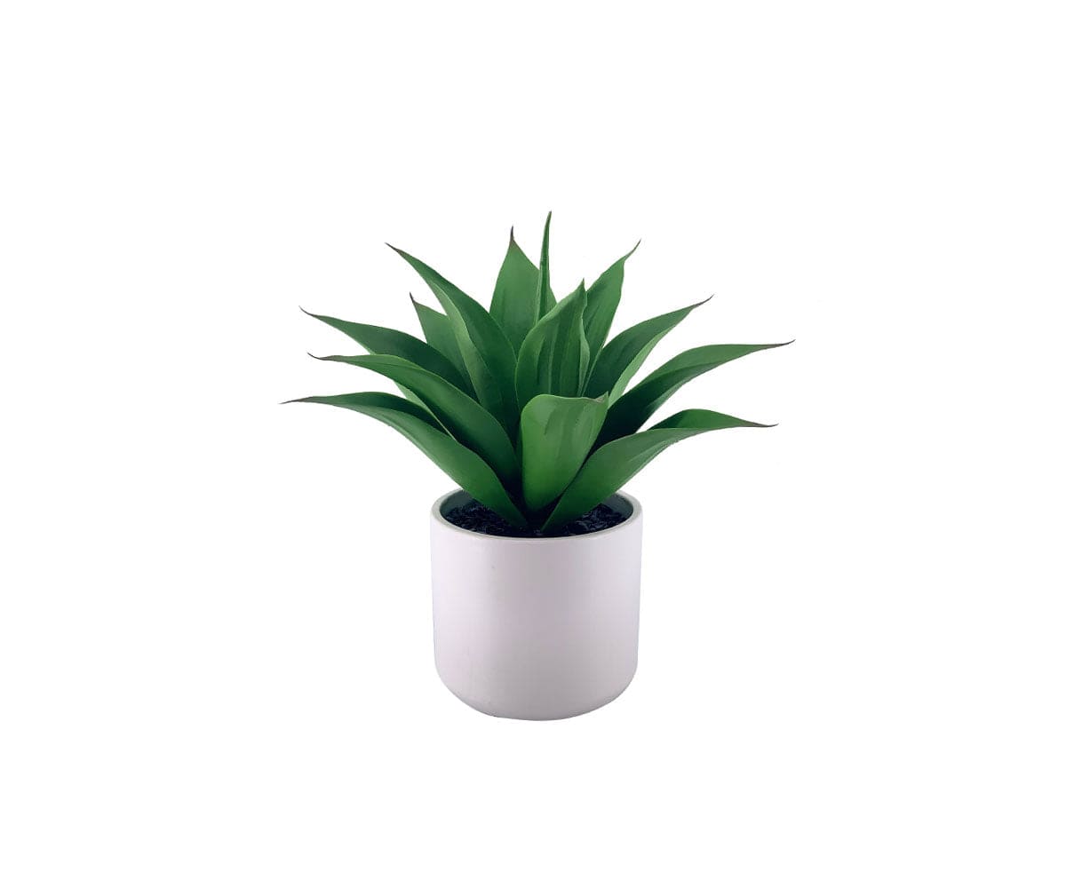 Faux Mini Agave Plant