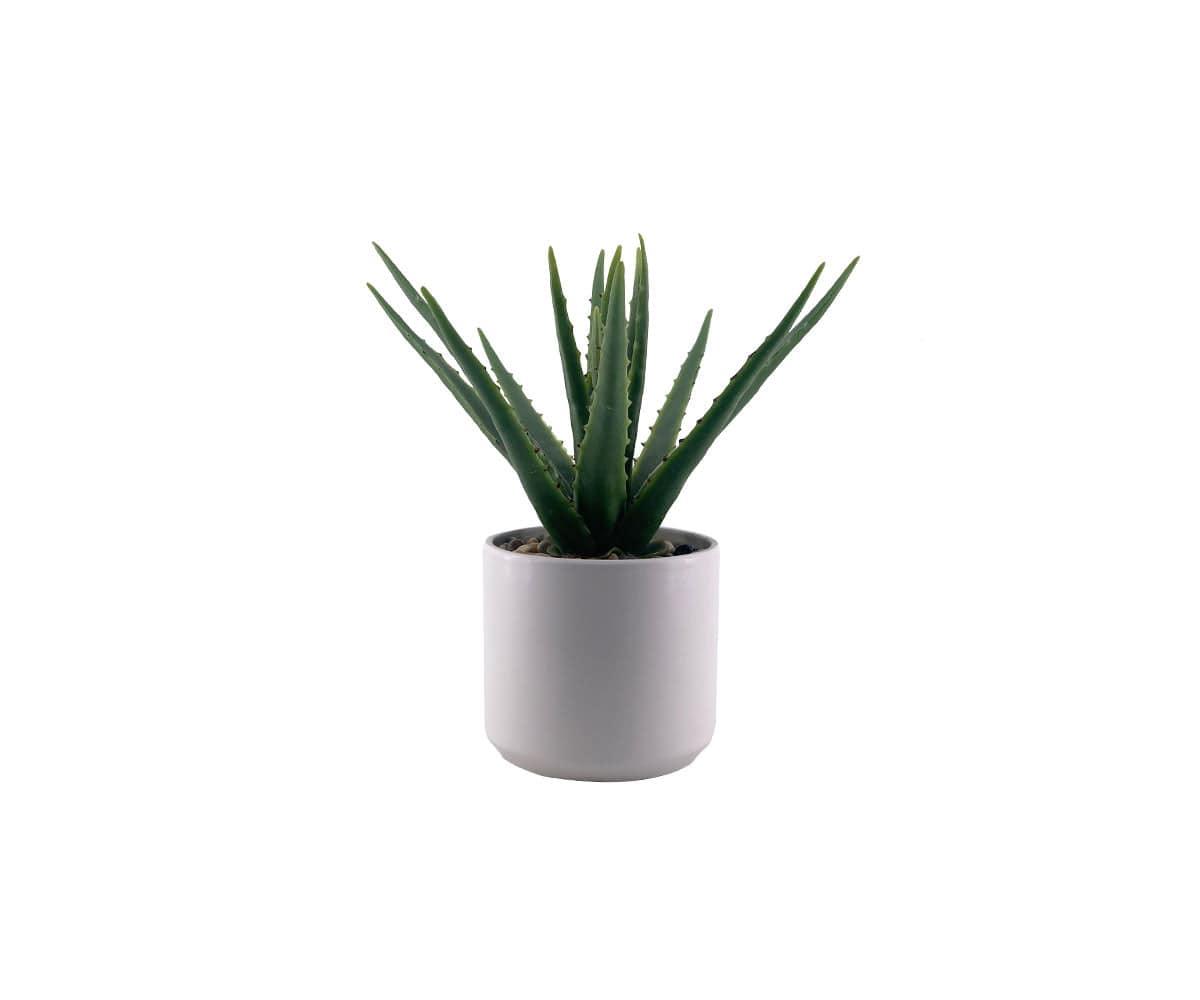 Faux Potted Aloe