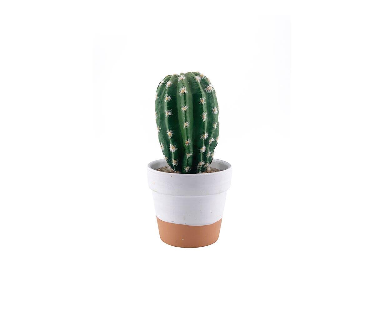 Faux Potted Desert Cactus