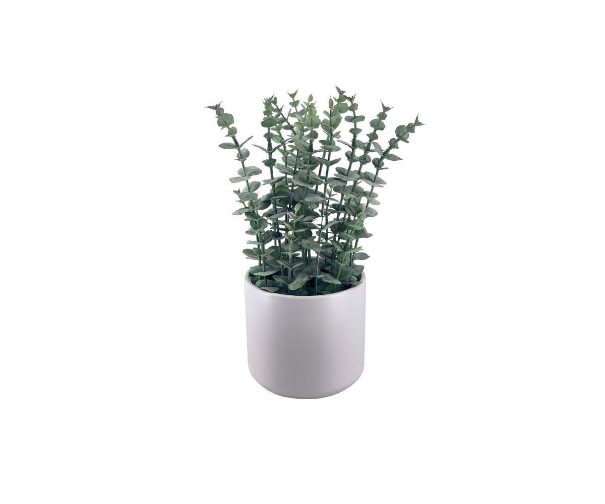 Faux Potted Eucalyptus