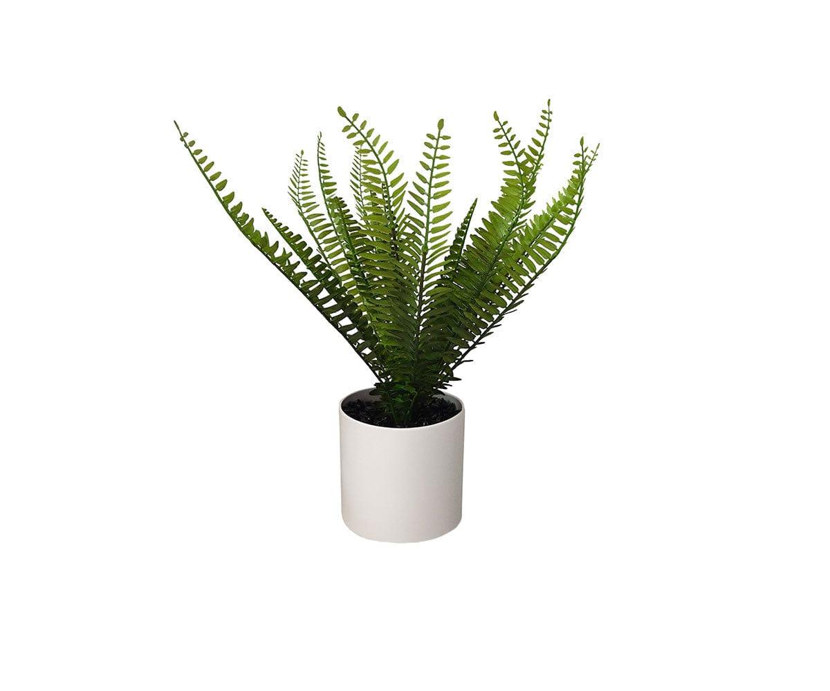 Faux Potted Snake Fern